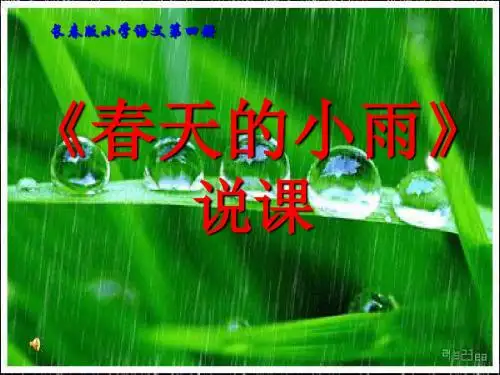 《春天的小雨》说课课件