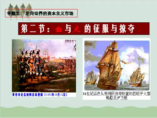 血与火的征服与掠夺PPT课件1 人民版.ppt