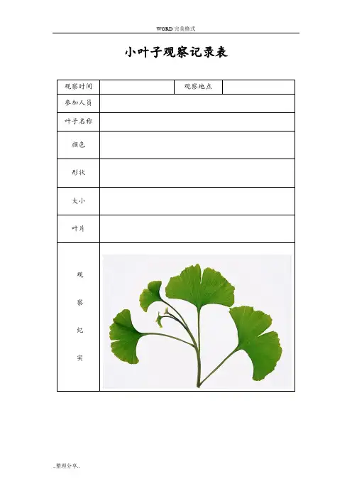 植物观察记录表[精品]
