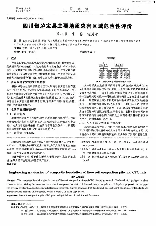 四川省泸定县主要地质灾害区域危险性评价