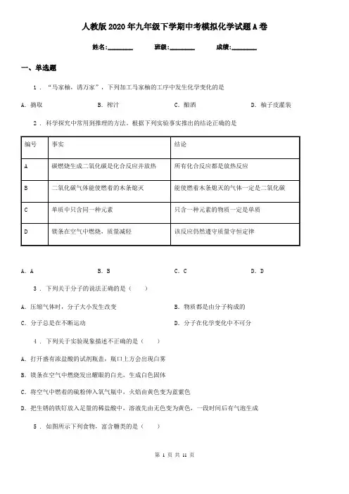 人教版2020年九年级下学期中考模拟化学试题A卷