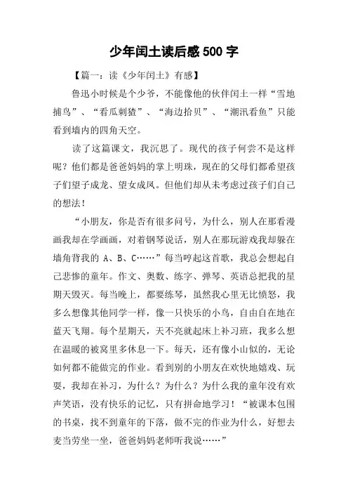 少年闰土读后感500字