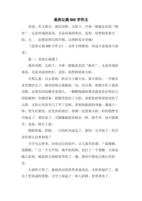 是你让我600字作文