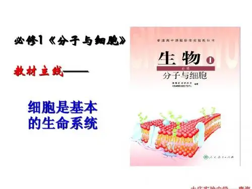 生物必修一复习 第一章
