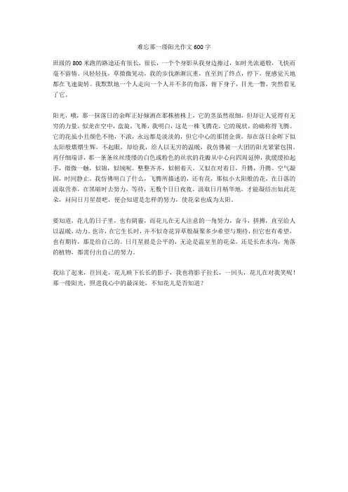 难忘那一缕阳光作文600字_1优秀版