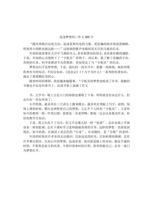 追逐梦想初三作文800字