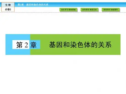 (人教版)高中生物必修二：2.1《减数分裂和受精作用》ppt课件