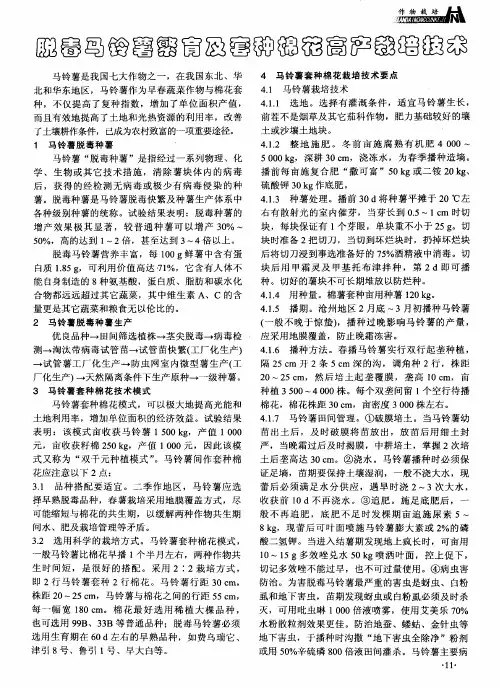 脱毒马铃薯繁育及套种棉花高产栽培技术