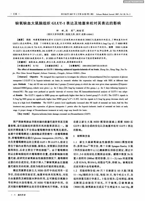 缺氧缺血大鼠脑组织GLUT-1表达及地塞米松对其表达的影响