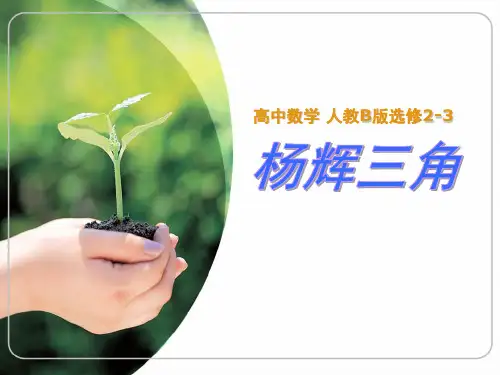 杨辉三角说课稿