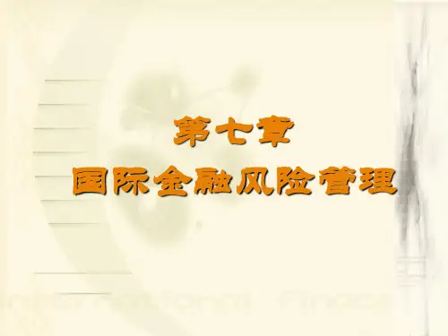 第七章国际金融风险管理