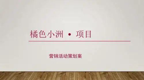 橘色小洲楼盘营销推广策划案