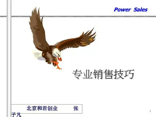 专业销售技巧(和君创业 张子凡)