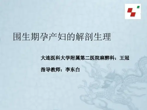 围生期孕产妇的解剖生理
