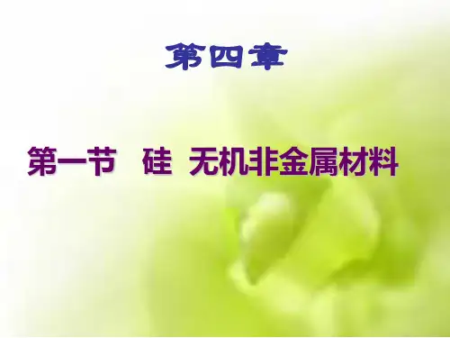 高一化学(必修一)硅
