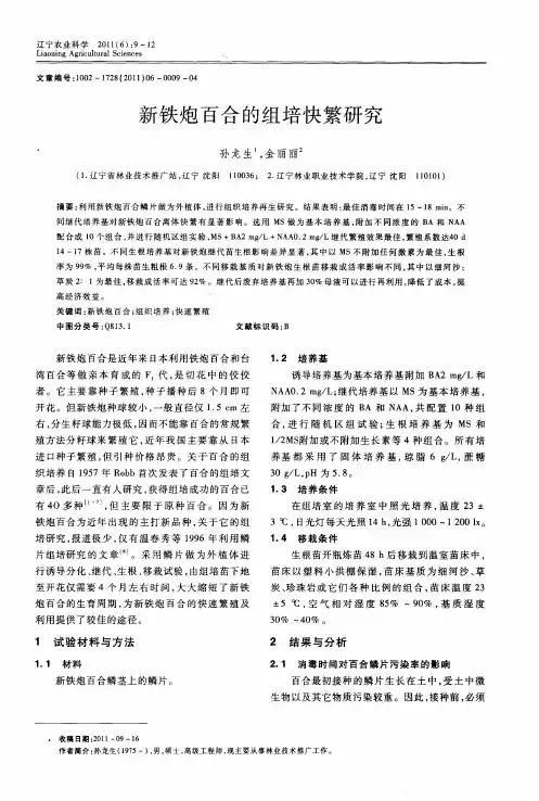 新铁炮百合的组培快繁研究
