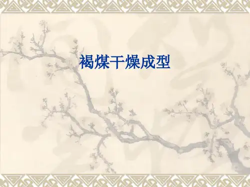褐煤干燥成型