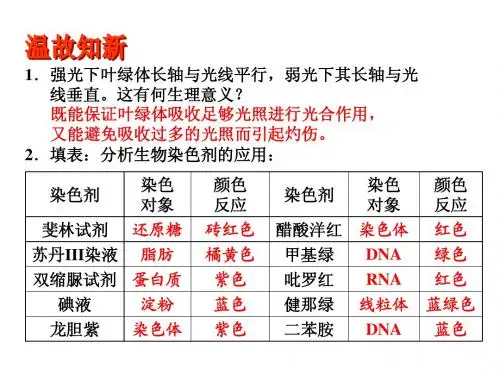 08 细胞的新陈代谢--水和无机盐的吸收