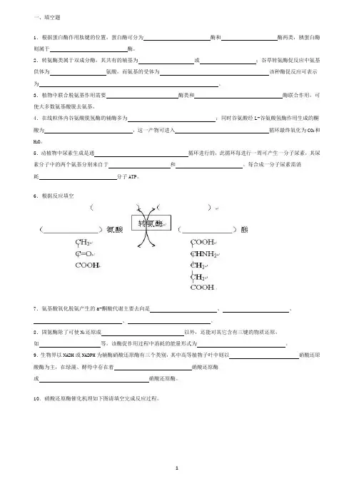 生物化学试题库及其答案——蛋白质降解和氨基酸代谢