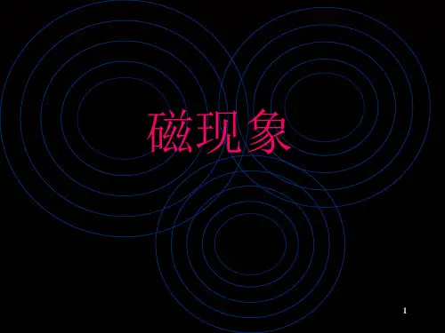 (推荐)初中物理二年级91磁现象
