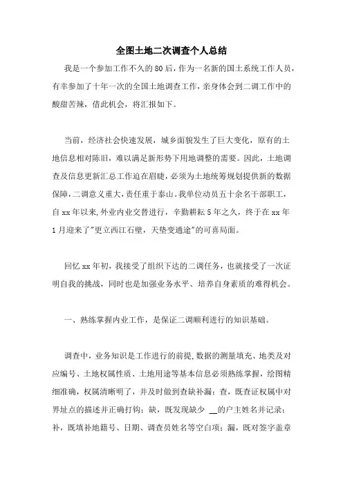 2020年全图土地二次调查个人总结