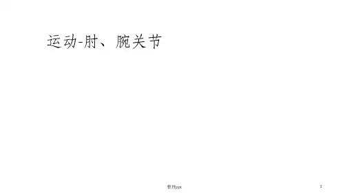 运动肘腕关节的肌肉