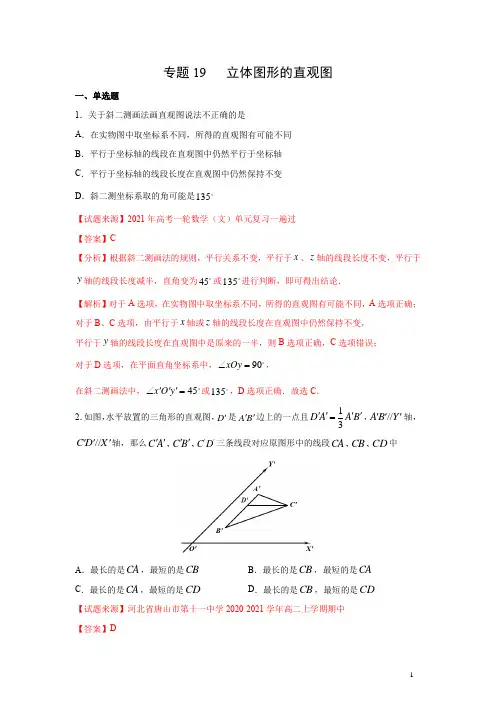 专题19 立体图形的直观图(解析版)