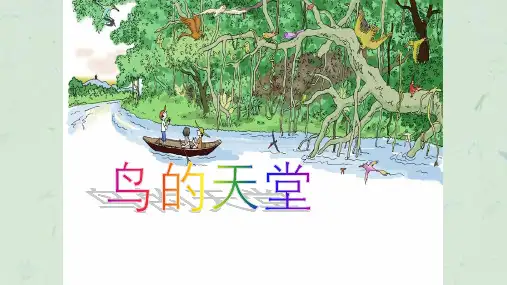 《鸟的天堂》第二课时课件