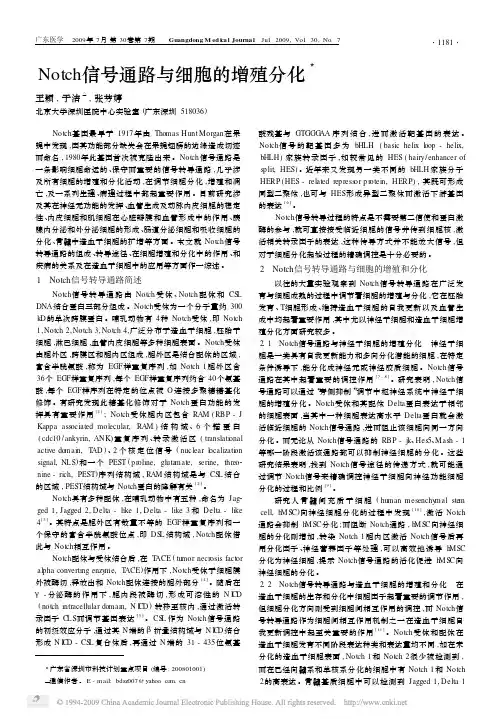 Notch信号通路与细胞的增殖分化