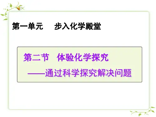 第二节体验化学探究