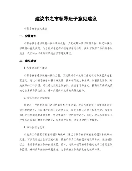 建议书之市领导班子意见建议