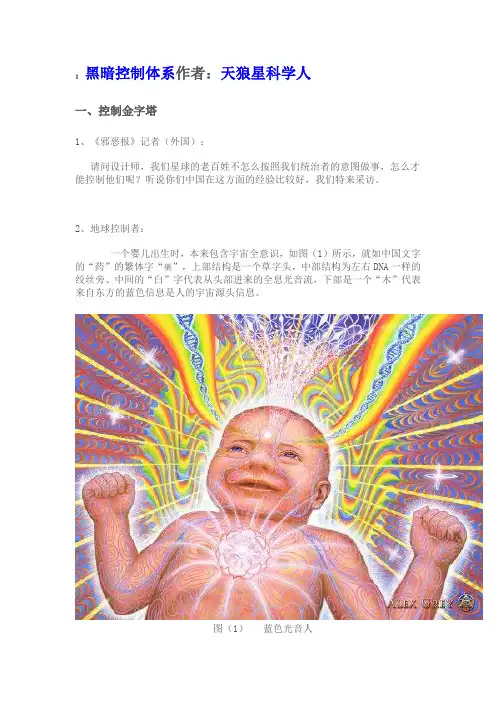黑暗控制体系作者：天狼星科学人