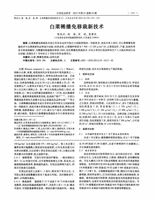 白菜稀播免移栽新技术