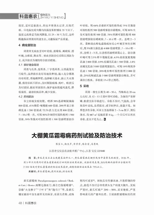 大棚黄瓜霜霉病药剂试验及防治技术