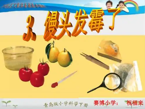 3、馒头发霉了 课件
