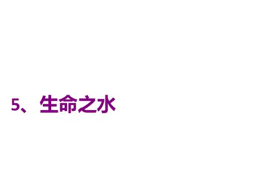科学三年级上粤教版2.5生命之水PPT课件