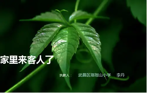 三年级 第十五课 家里来客人了