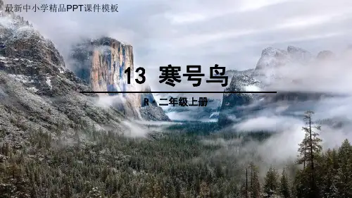 寒号鸟 部编版二年级语文上册教学课件