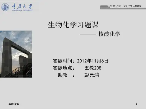 生物化学答疑 02 解读