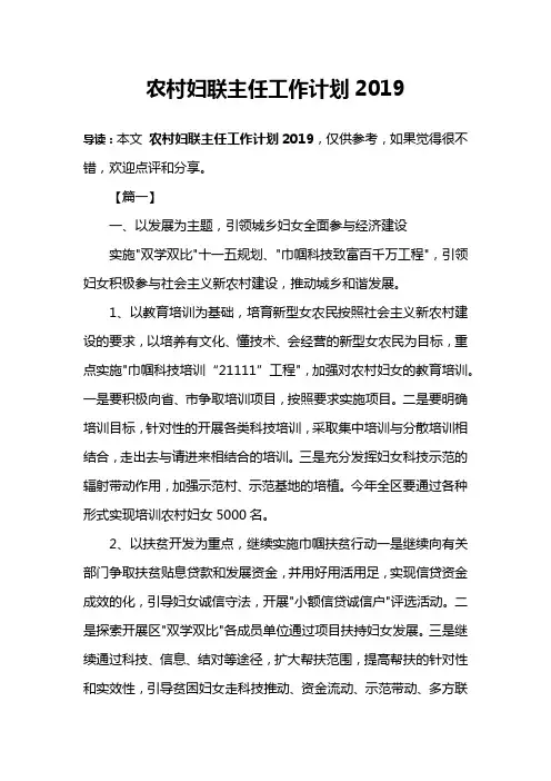 农村妇联主任工作计划2019