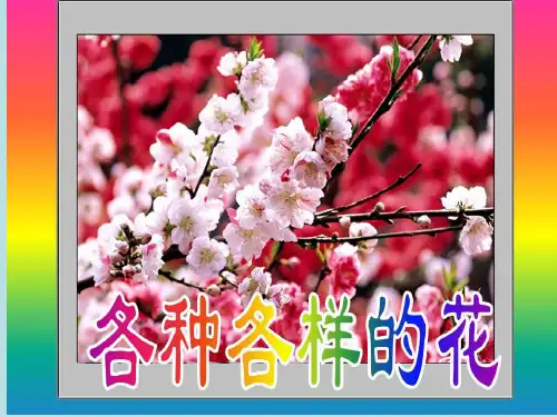 四年级下册科学 各种各样的花ppt课件