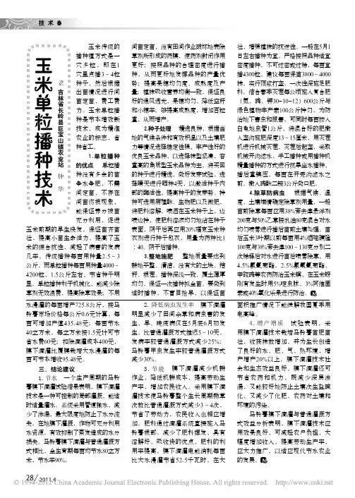 玉米单粒播种技术