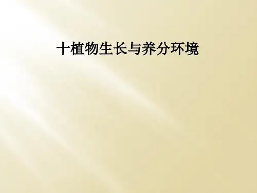 十植物生长与养分环境