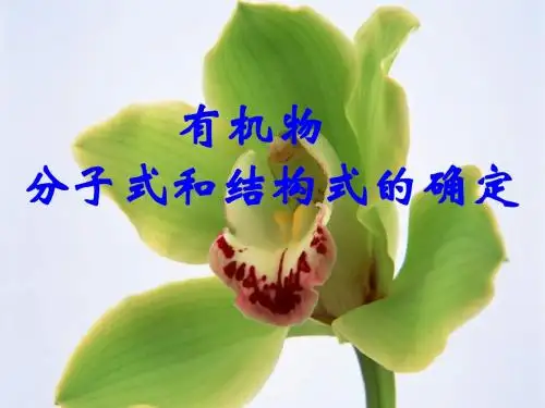 高一化学有机物分子式和结构式的确定