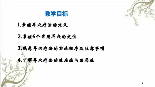 耳穴疗法课件