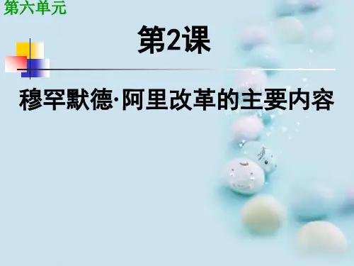 穆罕默德·阿里改革的主要内容ppt 人教课标版