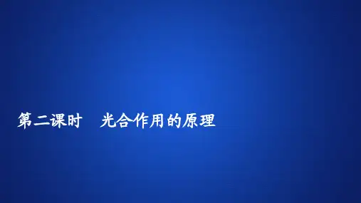冲刺2020年高考专题全程突破生物人教版必修第一册课件：第5章 第4节 第二课时 光合作用的原理