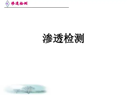 同济大学 无损检测 渗透检测