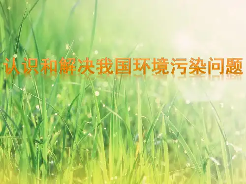 我国环境污染问题