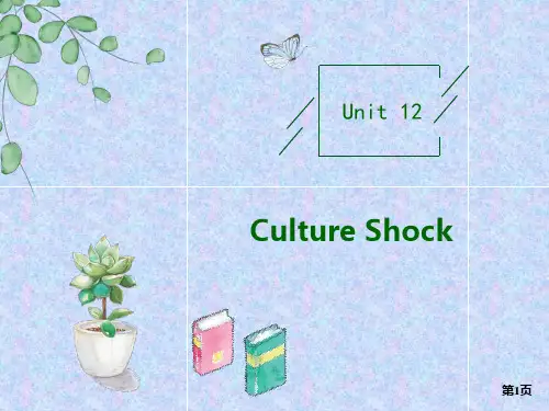 高考(统考版)北师大版英语一轮复习 基础积累必修四 Unit 12 Culture Shock 课件